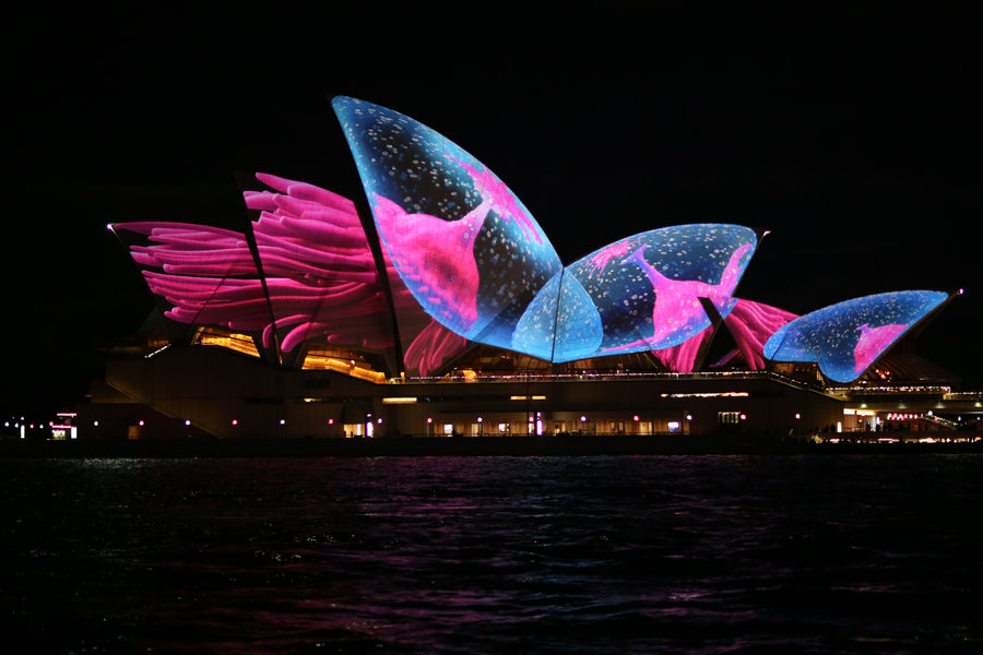 Battle Of The Smart Lights! Who Rules Australia For Smart Lighting?