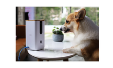 Dogness Camera/ Treater - White - T03