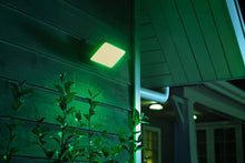 Philips Hue Outdoor Discover Flood Light
