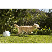 iFetch Too – Ball Launcher