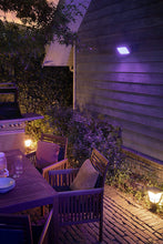 Philips Hue Outdoor Discover Flood Light