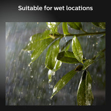 Philips Hue Outdoor Discover Flood Light