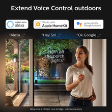 Philips Hue Outdoor Discover Flood Light