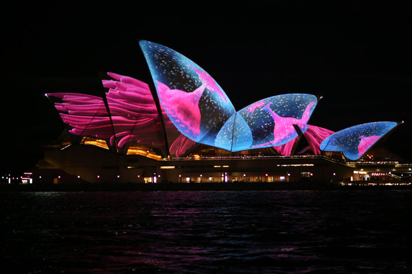 Battle Of The Smart Lights! Who Rules Australia For Smart Lighting?